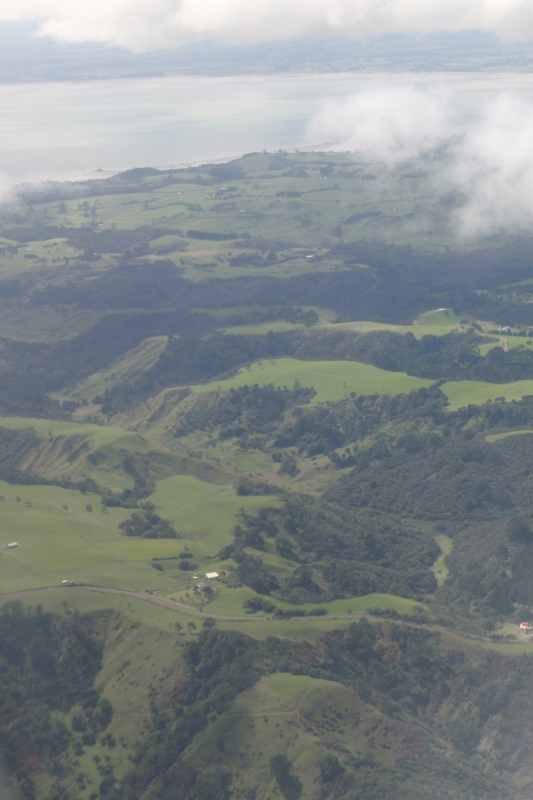 Nieuw-Zeeland 2011 - 2178